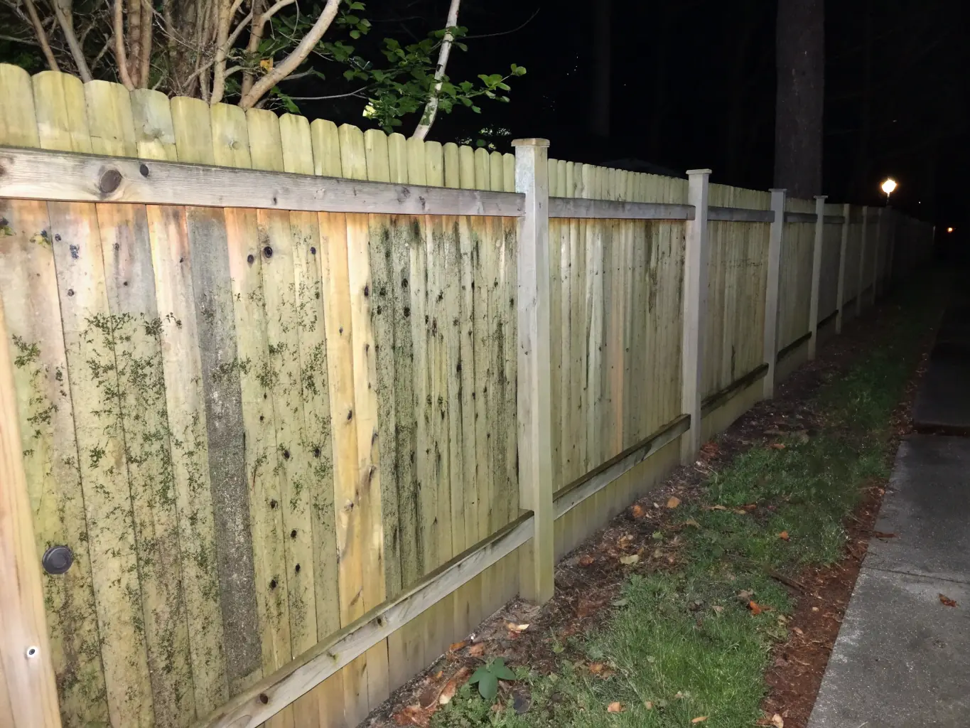 An image of a wooden fence being pressure washed, with one half visibly cleaner than the other. The cleaned section should reveal the natural wood grain and color, free from algae and dirt.